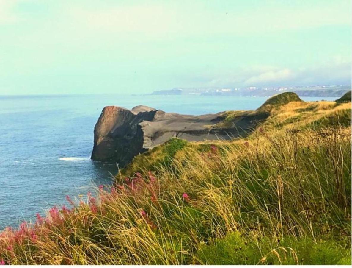 The Look Out-Yorkshire Coast Holiday Lets Whitby Exterior photo